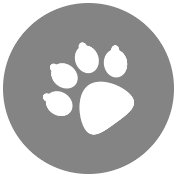 Pet friendly icon at YOO on the Park in Atlanta, Georgia